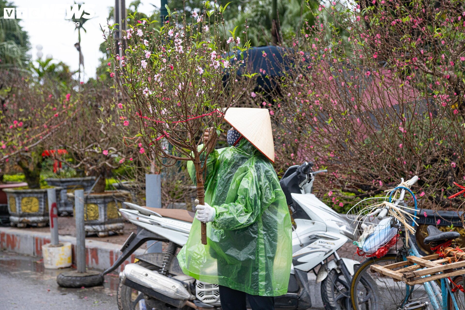 Hà Nội mưa rét đỉnh điểm, người bán 'ôm' cây cảnh Tết, sốt ruột chờ khách mua - Ảnh 16.