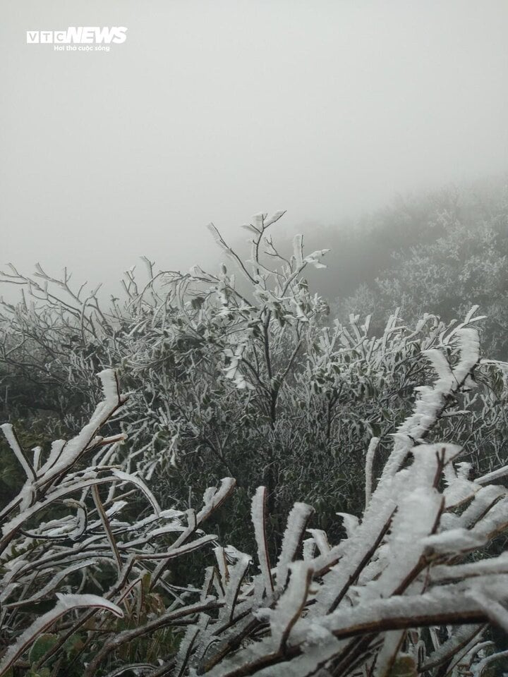 Nhiệt độ xuống -1,1 độ C, băng giá phủ kín đỉnh Mẫu Sơn - Ảnh 5.