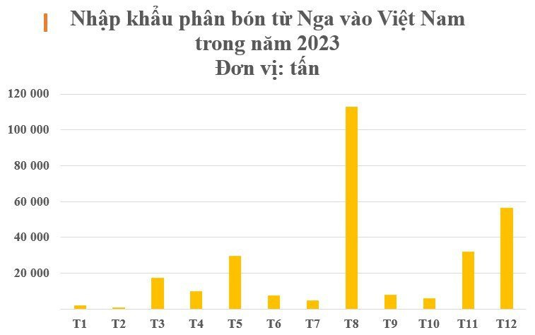 Mặt hàng này từ Nga liên tục đổ bộ Việt Nam với giá rẻ cực hấp dẫn, Việt Nam chớp cơ hội 'vàng' chi hàng trăm triệu USD gom hàng - Ảnh 2.