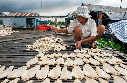 Việt Nam sở hữu kho báu dưới nước được 2/3 thế giới 'thèm khát': Người Trung Quốc thừa nhận 'ăn đứt' hàng nội, thu về hàng tỷ USD năm qua - Ảnh 1.
