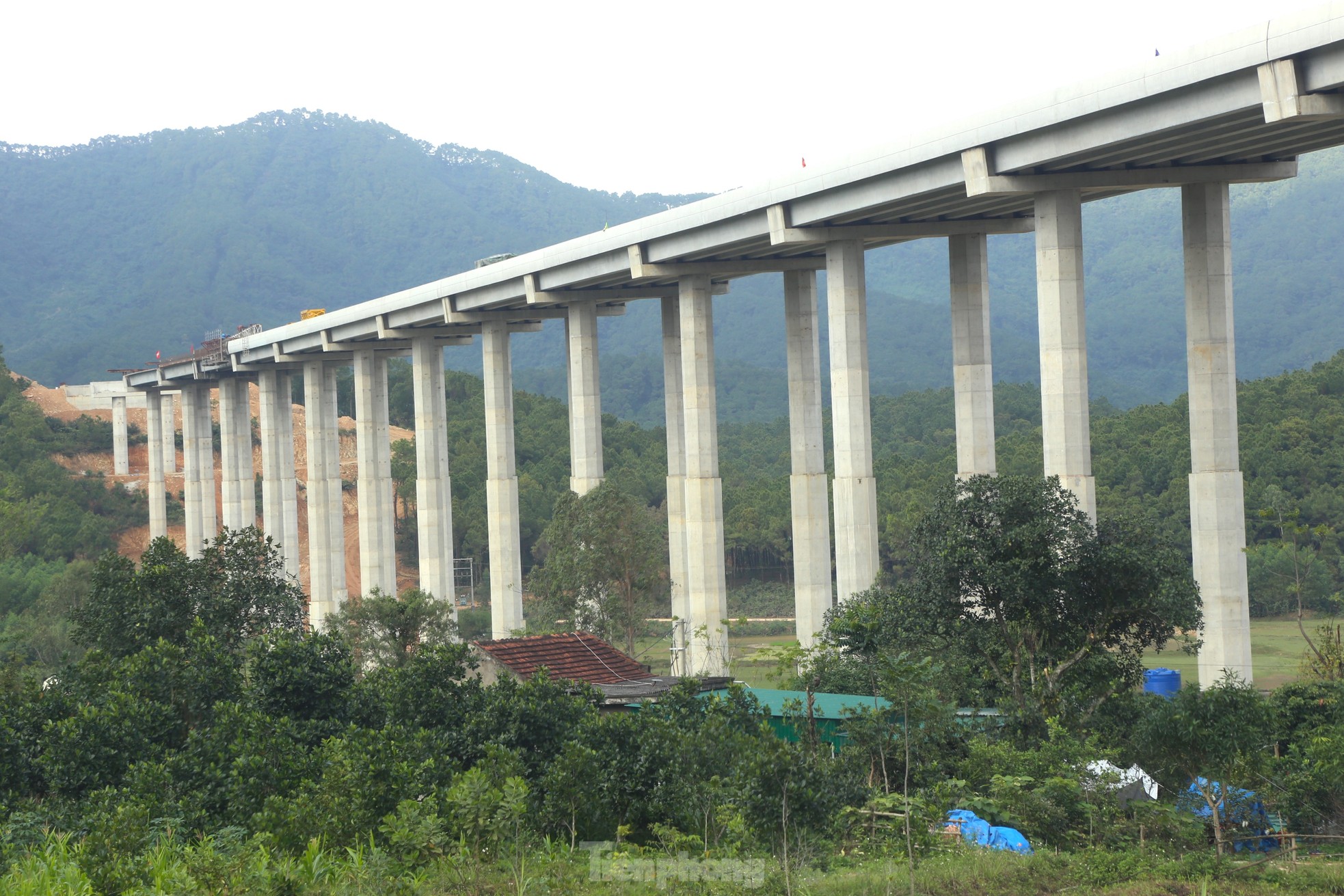 Cận cảnh những cây cầu vượt núi trên cao tốc Diễn Châu - Bãi Vọt - Ảnh 2.