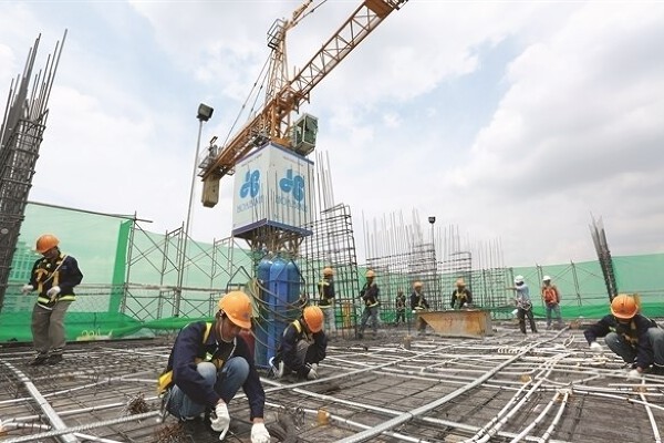 HBC, Thái Tuấn, Địa ốc Hoàng Quân và loạt doanh nghiệp... chậm đóng bảo hiểm xã hội hàng chục tỷ đồng - Ảnh 1.