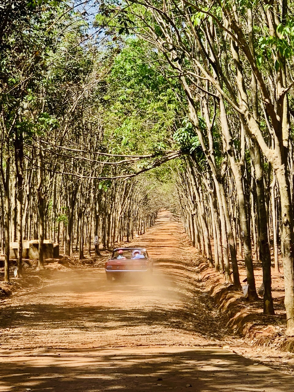 Dàn xe cổ trăm tuổi chạy gần 7.000km xuyên rừng ĐNÁ: Qua 4 nước, xuất phát từ TP.HCM, kết thúc ở Hà Nội - Ảnh 20.