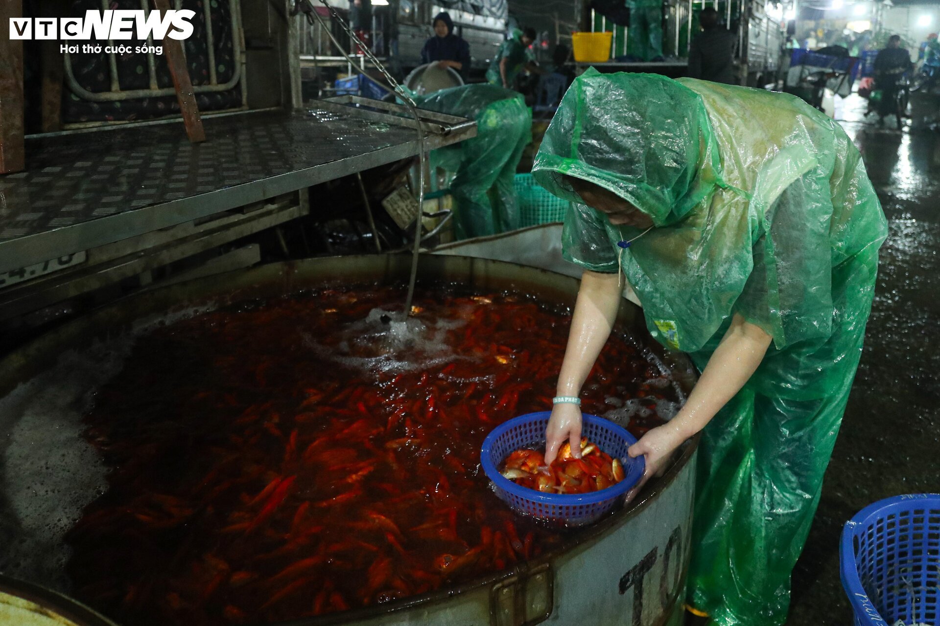 Chợ cá lớn nhất Hà Nội buôn bán xuyên đêm trước ngày ông Công, ông Táo - Ảnh 5.