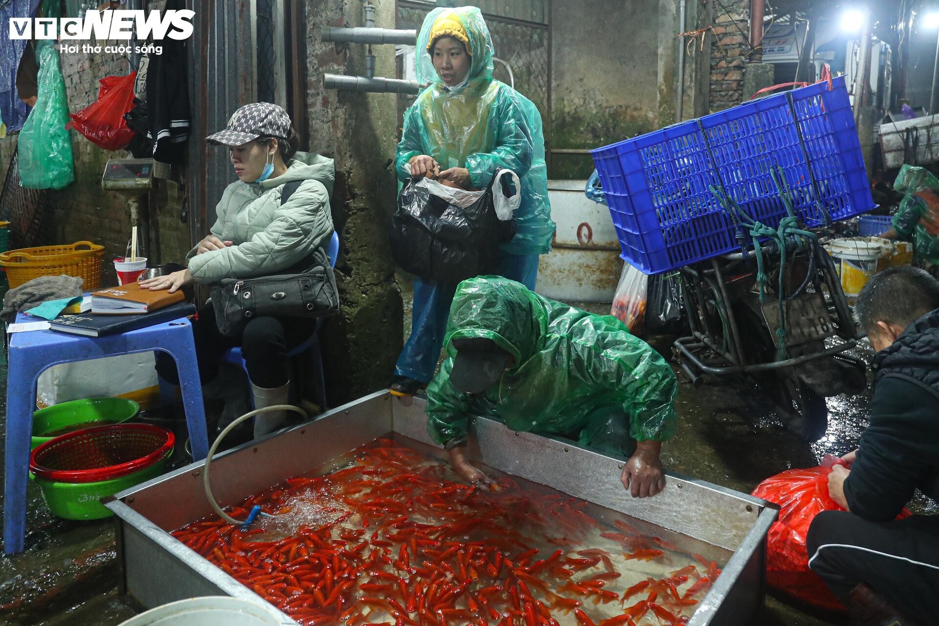 Chợ cá lớn nhất Hà Nội buôn bán xuyên đêm trước ngày ông Công, ông Táo - Ảnh 12.