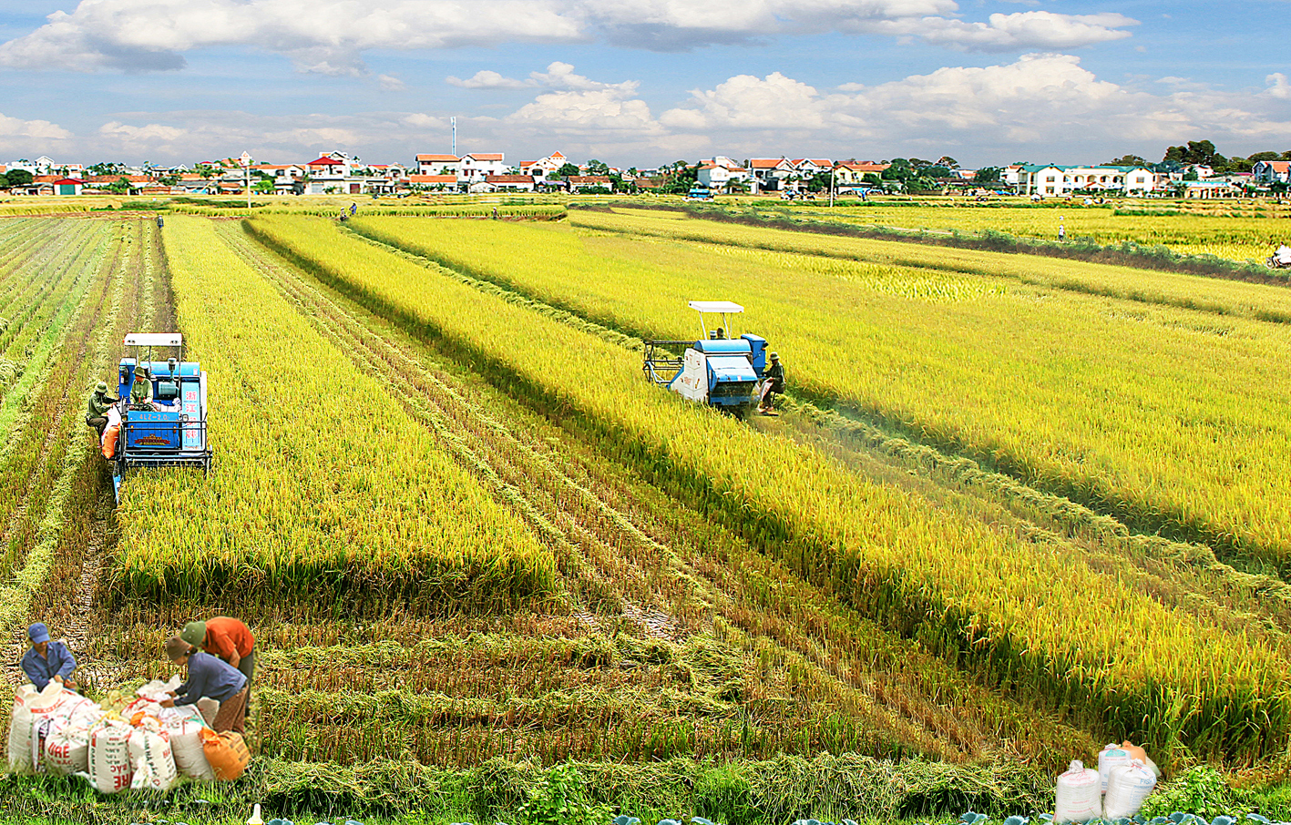Một ngành kinh tế tại Việt Nam có mức tăng trưởng cao nhất trong nhiều năm, thặng dư thương mại kỷ lục- Ảnh 1.