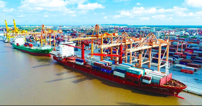 CEO hãng vận tải biển lớn nhất Việt Nam nói về mục tiêu doanh thu - Ảnh 3.