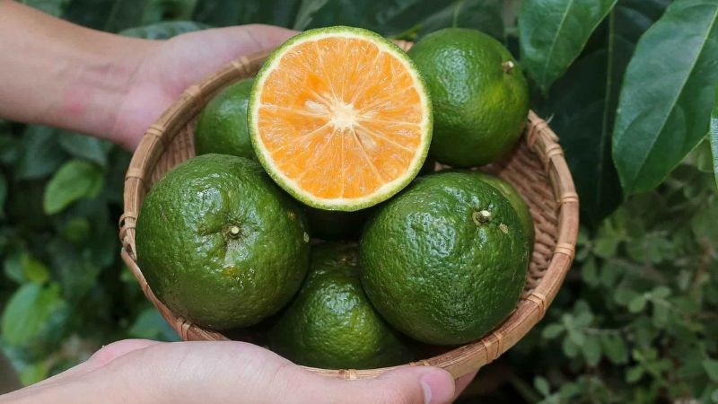 1 loại quả có vị ngọt là “nữ hoàng vitamin C”, hạ đường huyết cực hiệu quả : Chợ Việt đang vào mùa - Ảnh 3.