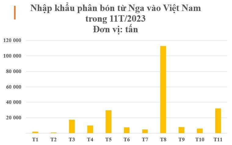 Nga bất ngờ tăng xuất khẩu một mặt hàng đến Việt Nam hơn 500%, giá rẻ cực hấp dẫn - Ảnh 2.