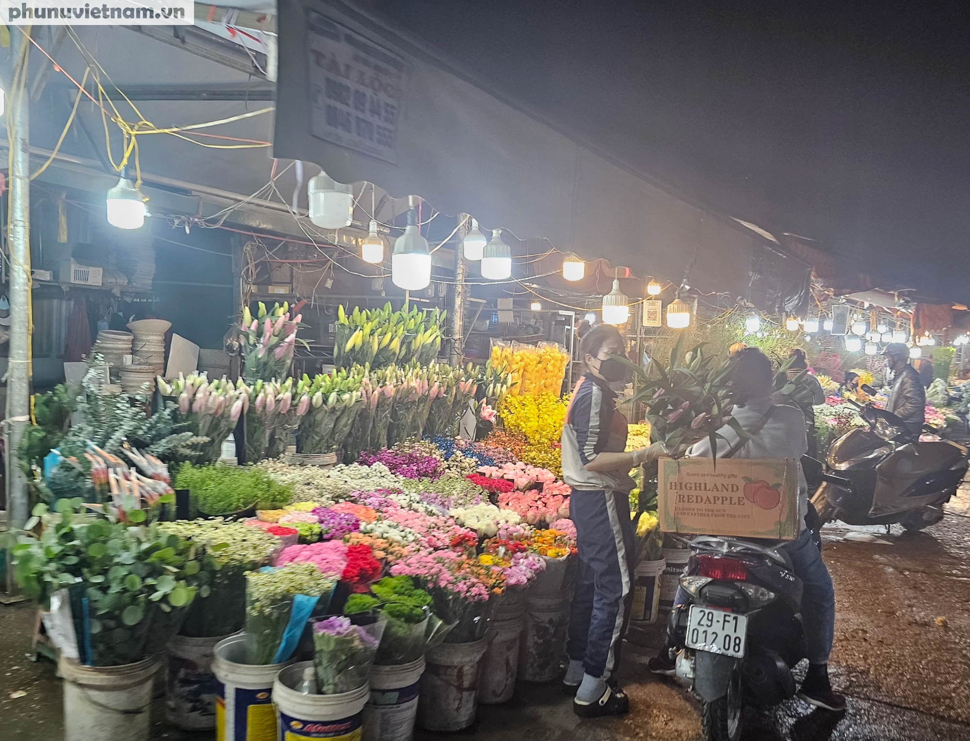 Chợ đầu mối hoa tươi lớn nhất thủ đô sẵn sàng đón Tết- Ảnh 2.