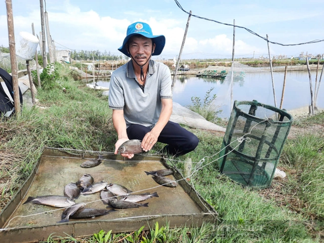 Nuôi con vật "hiền như đất" mê bơi lội, anh nông dân kiếm 23 tỷ/năm rất nhẹ nhàng- Ảnh 1.