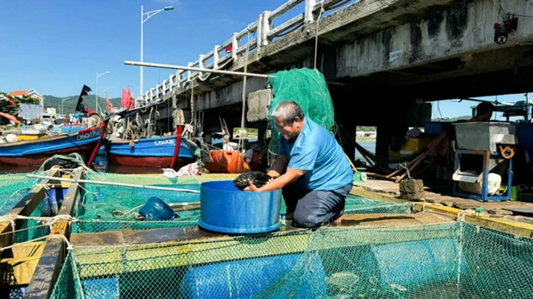 Nuôi con vật "hiền như đất" mê bơi lội, anh nông dân kiếm 23 tỷ/năm rất nhẹ nhàng- Ảnh 3.