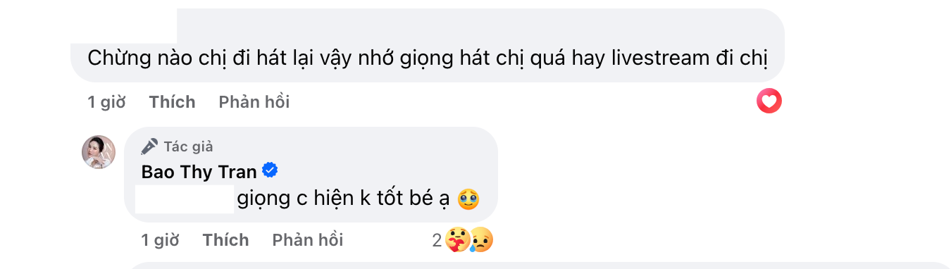 Lý do “công chúa bong bóng U40” của Vpop bỗng tạm ngưng sự nghiệp, chưa thể đi hát trở lại- Ảnh 2.