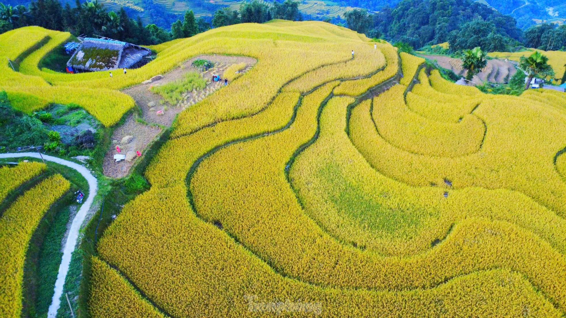 Mê mẩn khung cảnh tuyệt đẹp ở chân núi Tây Côn Lĩnh- Ảnh 5.