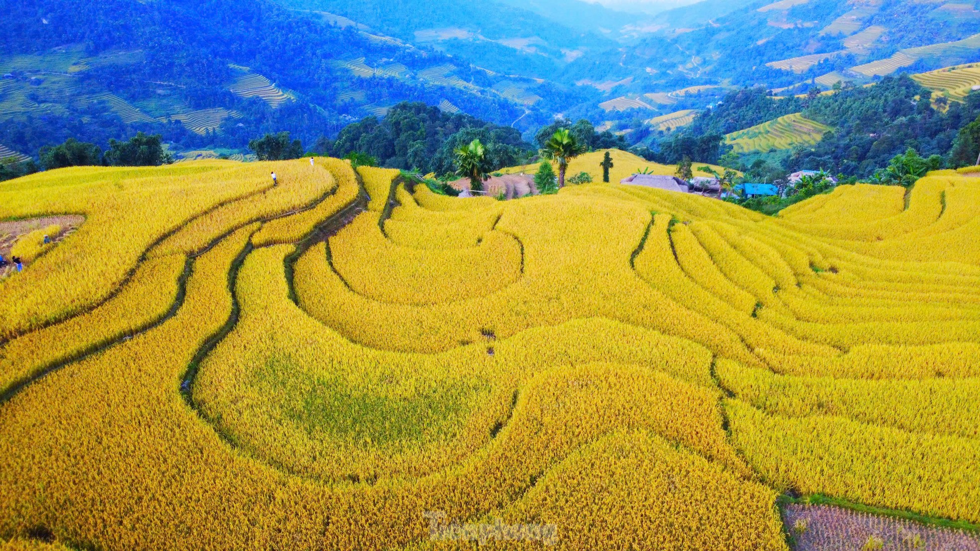 Mê mẩn khung cảnh tuyệt đẹp ở chân núi Tây Côn Lĩnh- Ảnh 3.