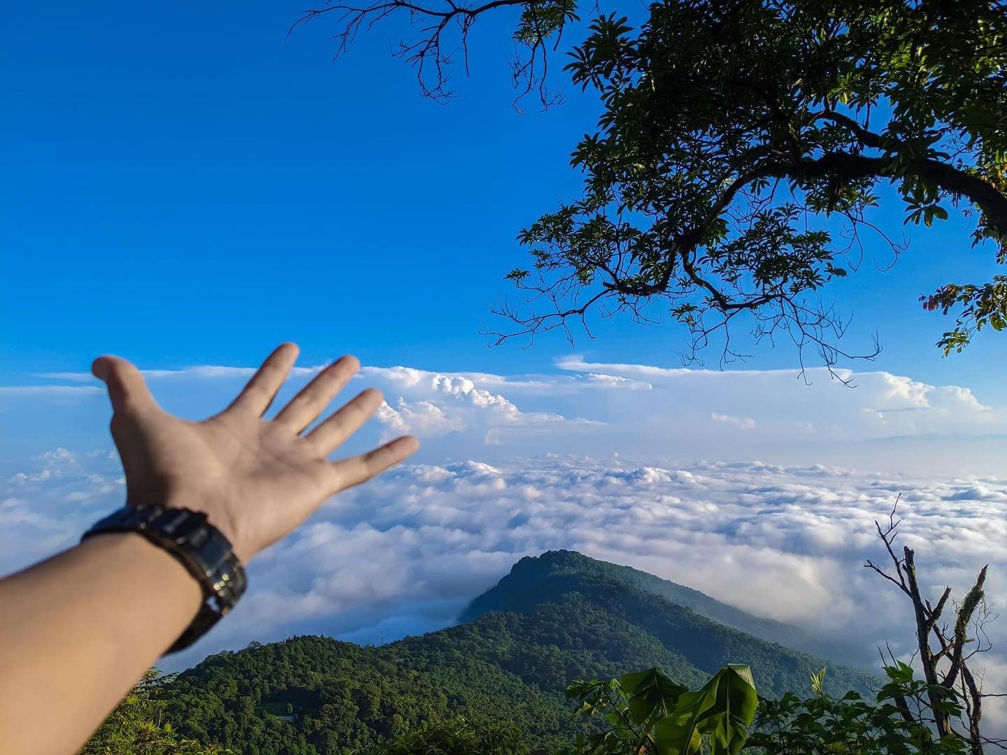 Nơi được ví như "Đà Lạt thu nhỏ" nhờ mùa hoa vàng rực rỡ, thì ra ngay gần Hà Nội, đường đi chỉ hơn 50km- Ảnh 11.