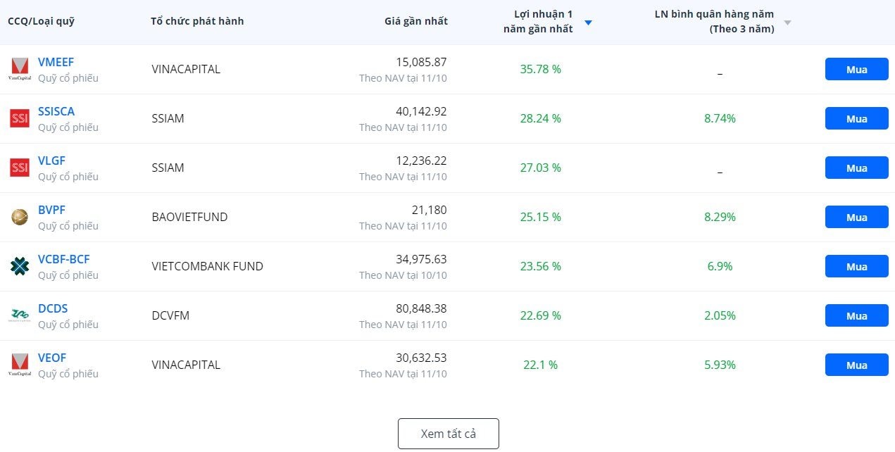 Sếp Dragon Capital: 'Nhà đầu tư nhỏ lẻ giống như người điều khiển xe máy, còn nhà đầu tư quỹ như đi xe bus công cộng'- Ảnh 1.