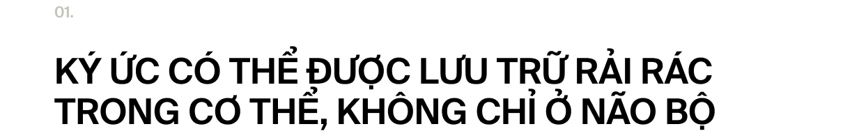 Nếu ký ức tồn tại trong trái tim: Liệu một phần người hiến tim vẫn còn sống, bên trong cơ thể người nhận tạng ghép?- Ảnh 3.