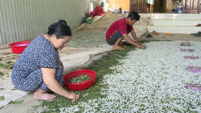 Thu nhập cao nhờ nghề 'ăn cơm đứng'- Ảnh 1.