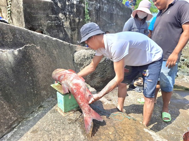 Người dân ùa xuống đập tràn nhà máy thủy điện Trị An săn 'lộc trời'- Ảnh 5.