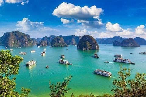 halongbay9de8b3a121a745e69b069ef5a5508ff7large-1728964840578-1728964840807677657925.jpg