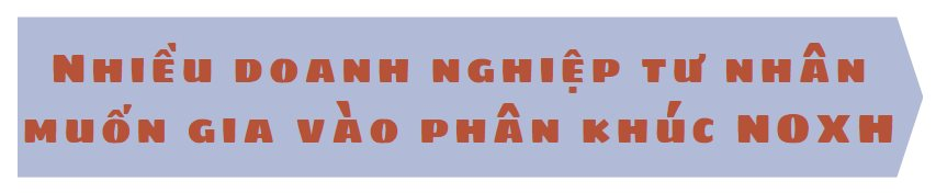 Tham gia đề án 1 triệu căn nhà ở xã hội: Vingroup, Novaland, Kim Oanh Group đang thực hiện như thế nào?- Ảnh 3.