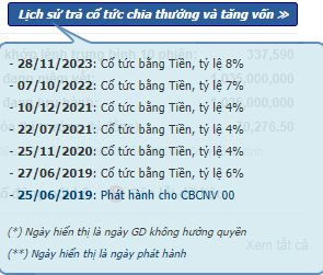 Một doanh nghiệp bất động sản KCN chuẩn bị "dốc hầu bao" hơn 1.000 tỷ đồng trả cổ tức cao kỷ lục- Ảnh 1.