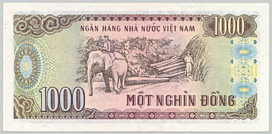 Hình ảnh in trên mặt sau tờ tiền Việt Nam không phải ai cũng biết- Ảnh 3.