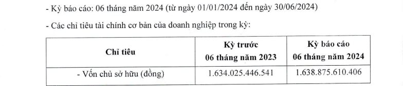 Vốn hóa nghìn tỷ, BIDGROUP của Chủ tịch Trần Văn Mạnh báo lãi “èo ọt” 2 tỷ đồng nửa đầu năm 2024- Ảnh 1.