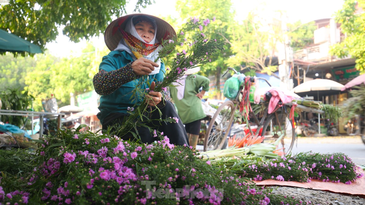 Nông dân làng hoa Mê Linh mất mùa 20/10, 'mót' từng bông hồng để bán- Ảnh 13.