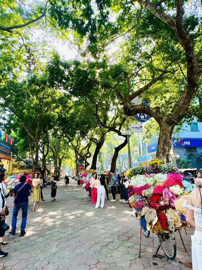 "Check-in" Hà Nội mùa thu: Những góc nhỏ làm say đắm lòng người- Ảnh 10.