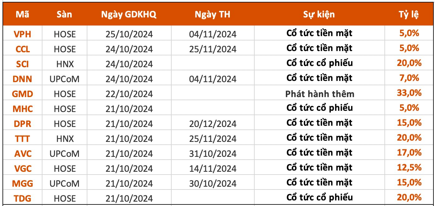 Lịch chốt quyền cổ tức tuần 21-25/10: Cổ tức tiền mặt cao nhất 20%, một doanh nghiệp sắp chi gần 600 tỷ đồng trả cổ tức- Ảnh 1.