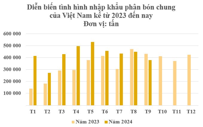 Hàng chục nghìn tấn hàng từ Israel đang đổ bộ Việt Nam với giá rẻ bất ngờ: Nhập khẩu tăng gần 200%, nước ta tiêu thụ hơn 10 triệu tấn mỗi năm- Ảnh 2.