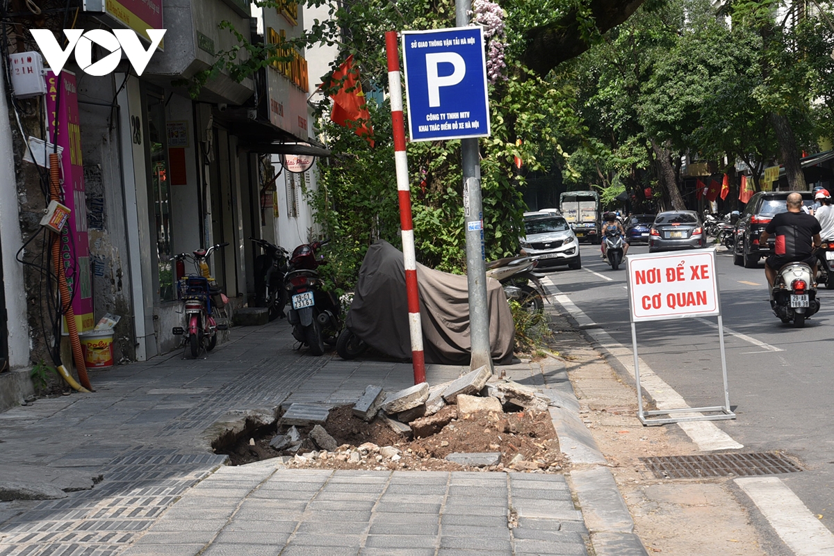 Hà Nội bắt đầu trồng cây xanh thay thế cây gãy đổ trên một số tuyến phố- Ảnh 7.