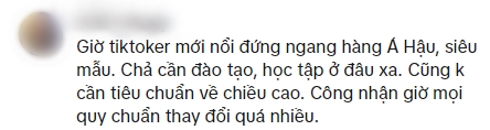 Tranh cãi kịch liệt khi Nàng Mơ lên sàn catwalk ngang hàng với siêu mẫu Hoàng Thuỳ- Ảnh 3.