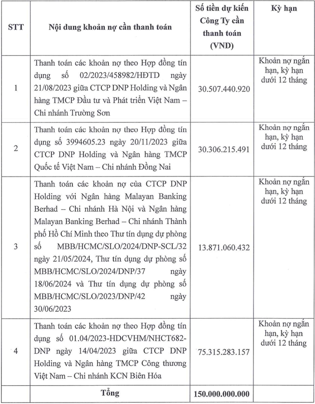 DNP Holding muốn đem 20 triệu cổ phần bảo đảm phát hành 200 tỷ đồng trái phiếu- Ảnh 1.