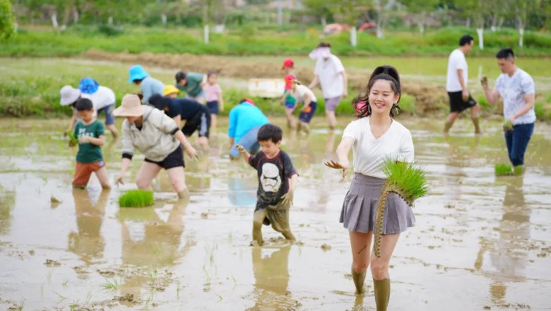 Buồn của Trung Quốc: Tỷ lệ thất nghiệp tăng kỷ lục, người trẻ lũ lượt về quê ‘nghỉ hưu non’, ‘viện dưỡng lão’ cho thanh niên mọc lên nhan nhản- Ảnh 1.