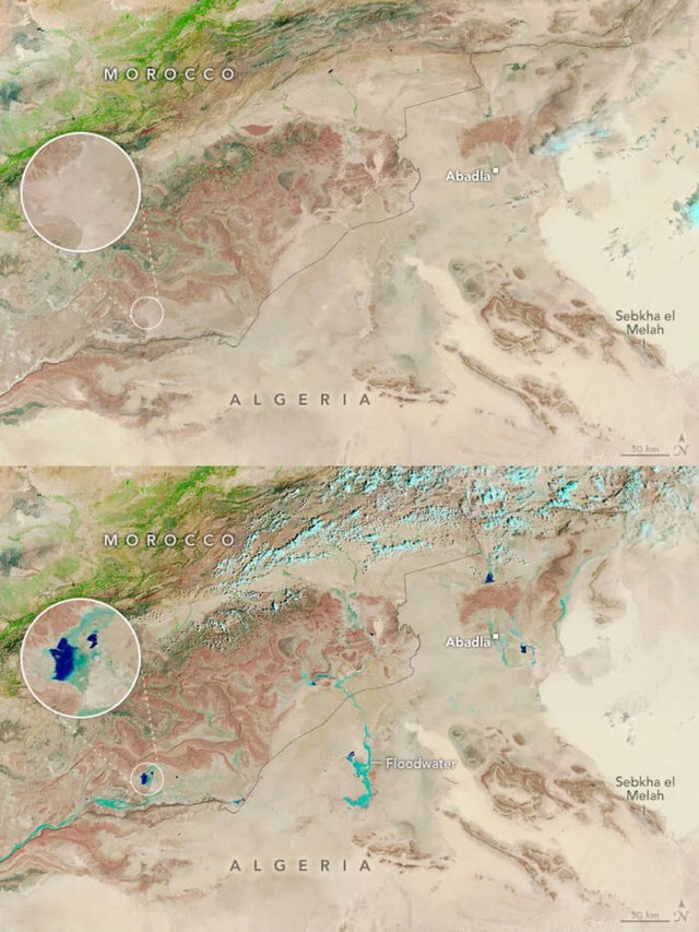 Lượng mưa lịch sử gây lũ lụt tại sa mạc Sahara: Hiện tượng vô cùng hiếm gặp này liệu có phải 'dấu hiệu' của thảm họa?- Ảnh 3.