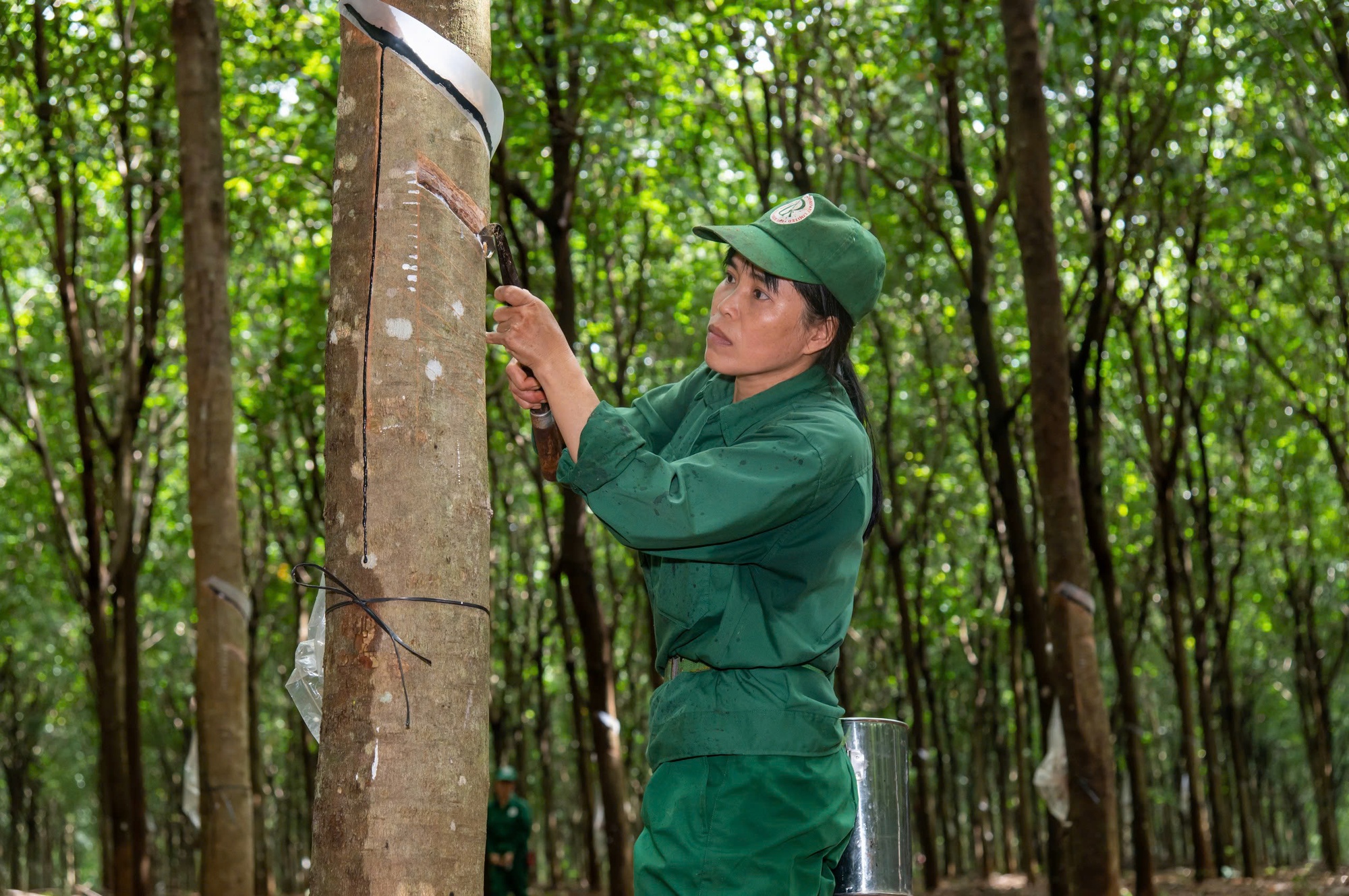 VRG lên tiếng về kết luận thanh tra lao động- Ảnh 2.