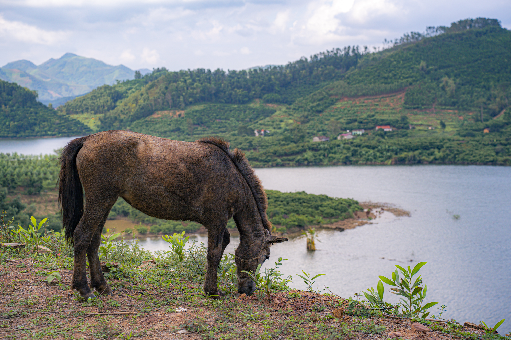 Toàn cảnh hồ nước được đào trên vùng núi có chiều dài lên đến 30 km, dung tích nước lớn gấp 25 hồ Tây- Ảnh 6.