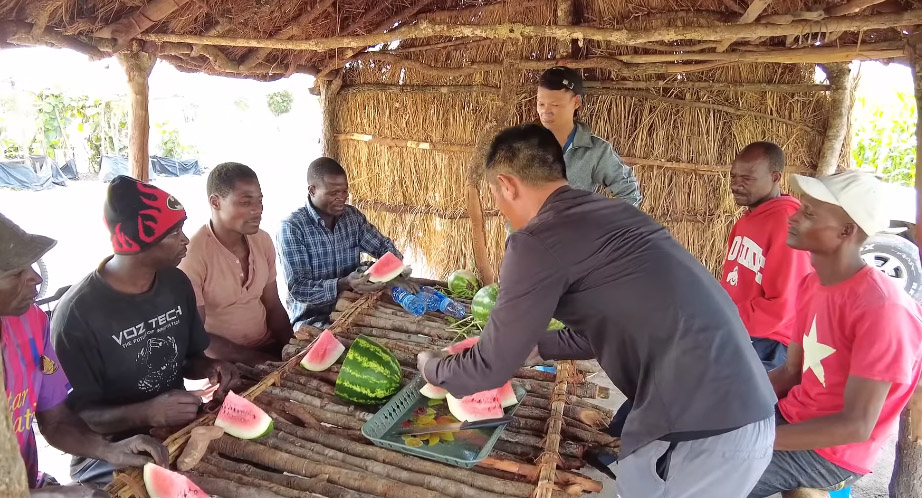 Ruộng dưa hấu ở Angola đến ngày thu hoạch, ông chủ người Việt hái làm quà tặng, phát hiện điều bất ngờ- Ảnh 8.