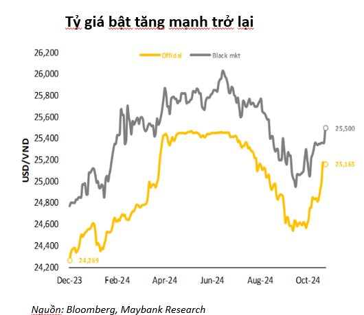 Tỷ giá VND/USD bất ngờ tăng mạnh trở lại ảnh hưởng ra sao tới tâm lý nhà đầu tư chứng khoán?- Ảnh 1.