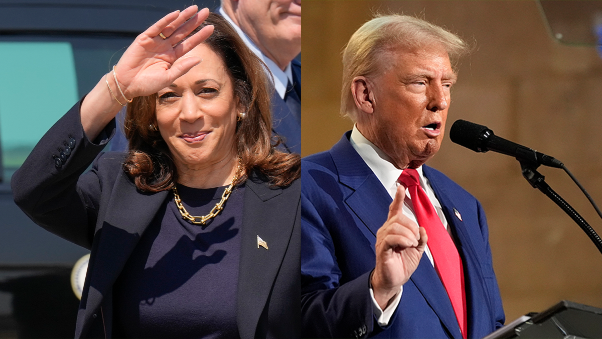 Bà Harris vẫn dẫn trước ông Trump trong thăm dò, ông Biden lên tiếng- Ảnh 1.