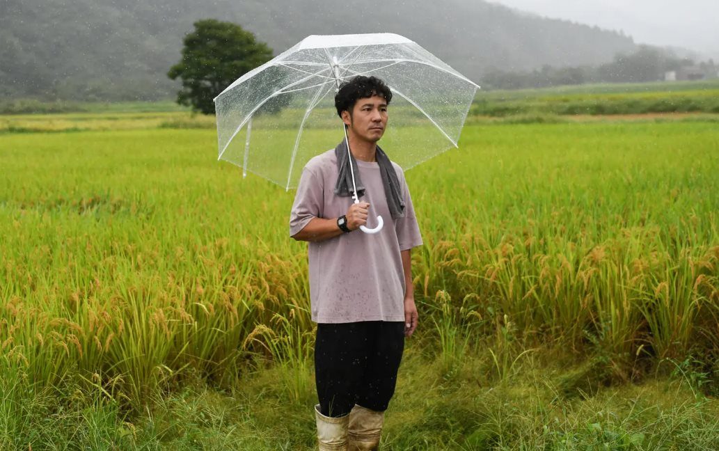 'Vua gạo' lâm nguy, Nhật Bản chạy đua tìm cách giải cứu- Ảnh 2.