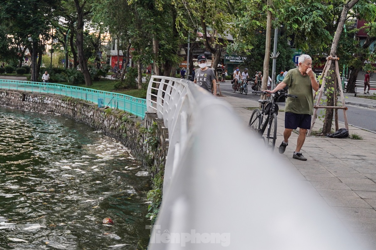 Người dân Thủ đô 'đau đầu nhức óc' vì mùi hôi thối do cá chết trắng tại Hồ Tây- Ảnh 11.