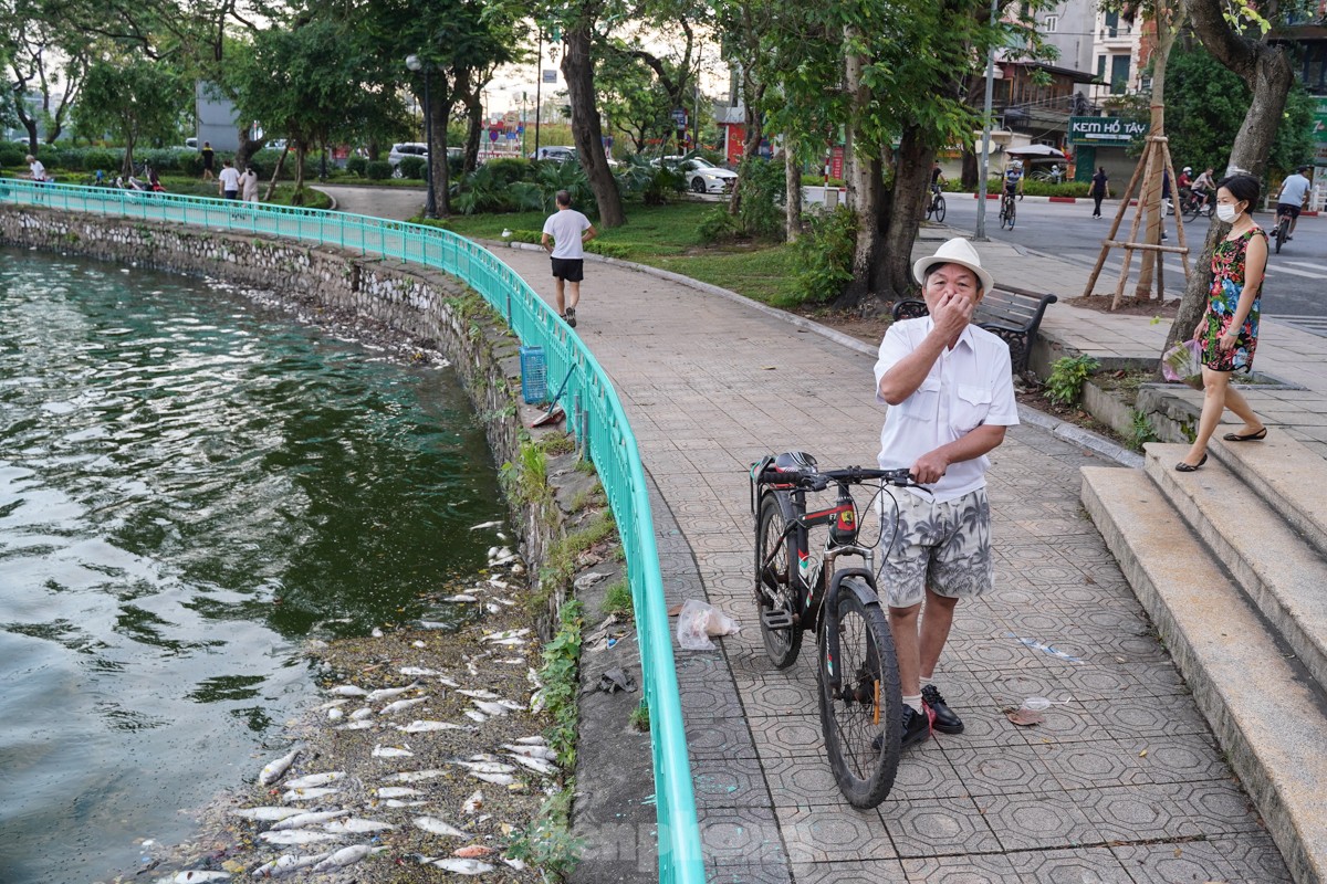 Người dân Thủ đô 'đau đầu nhức óc' vì mùi hôi thối do cá chết trắng tại Hồ Tây- Ảnh 10.