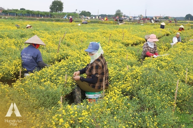 Giúp người dân khai thác “kho báu cỏ cây, một DN chinh phục thành công thị trường 7 tỷ USD ở Việt Nam- Ảnh 7.