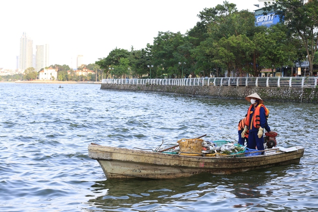 Người dân Thủ Đô nói "không thở được" vì cá chết bốc mùi hôi nồng nặc ở Hồ Tây- Ảnh 12.