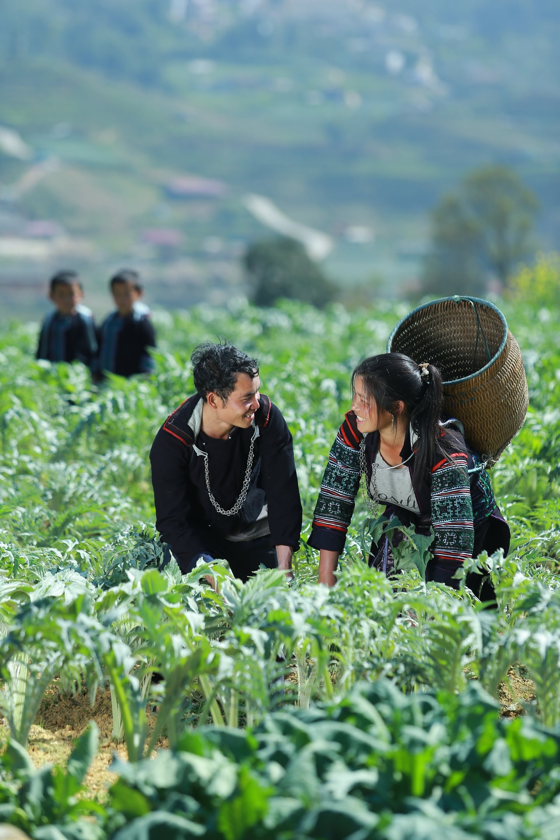 Giúp người dân khai thác “kho báu cỏ cây, một DN chinh phục thành công thị trường 7 tỷ USD ở Việt Nam- Ảnh 1.