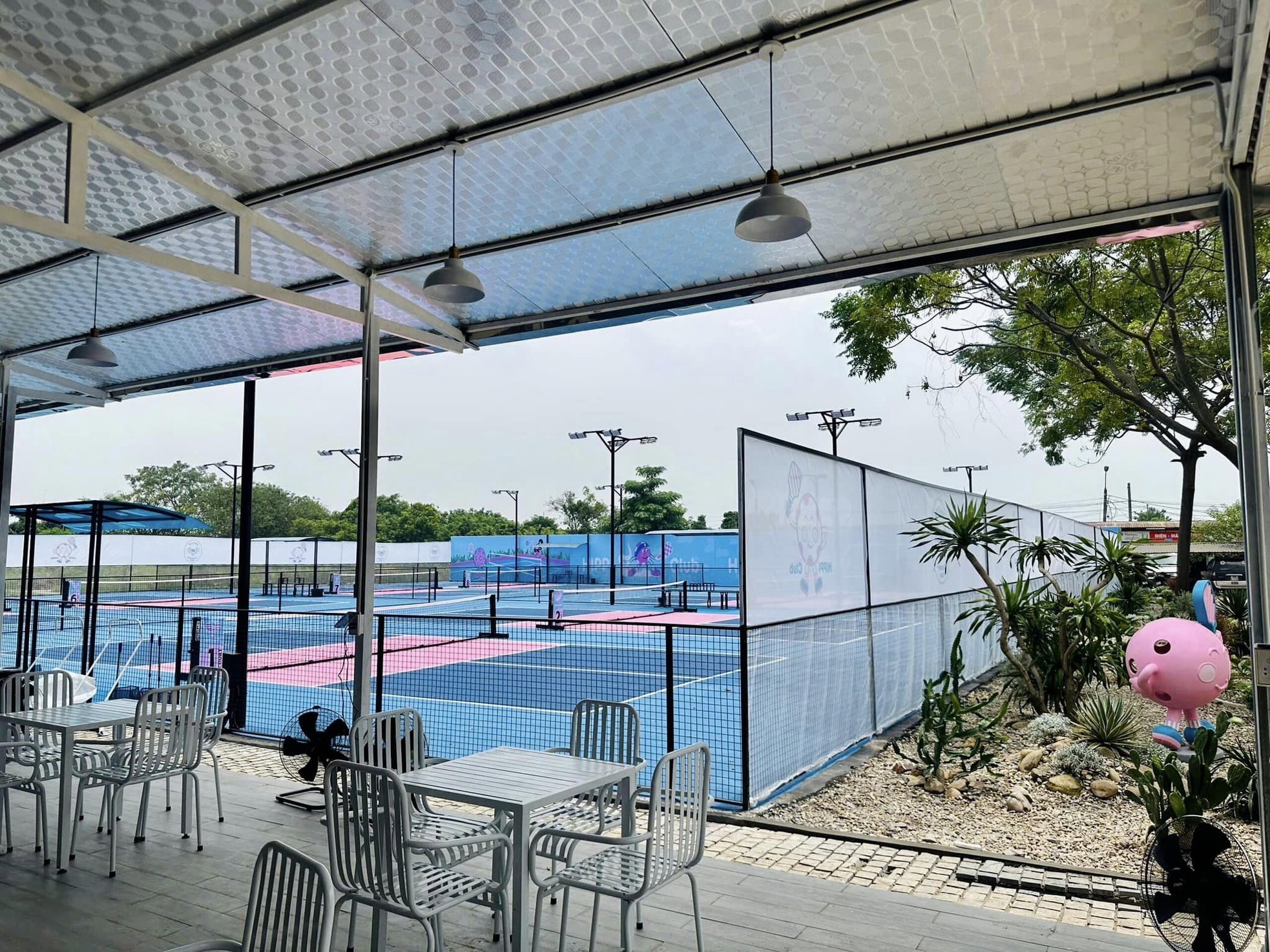 Cận cảnh đất dự án, đất nông nghiệp ‘biến hoá’ thành sân pickleball- Ảnh 8.